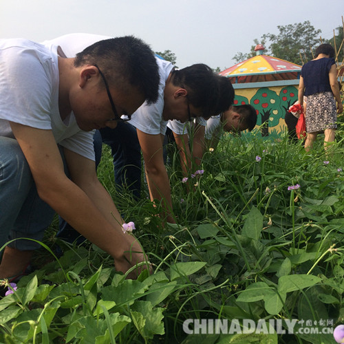 石家莊鐵道大學暑期社會實踐走進保定淶水