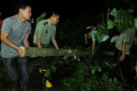 河南嵩縣突遭罕見冰雹襲擊 農(nóng)作物受災(zāi)嚴(yán)重