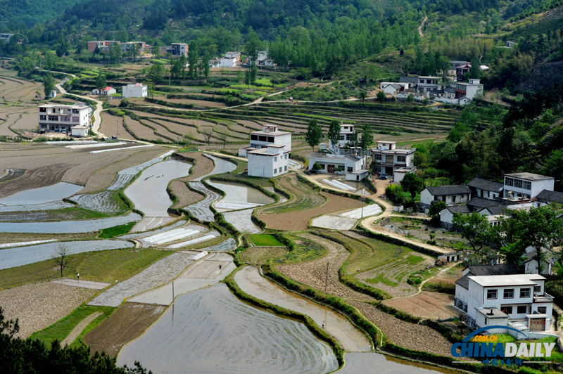 河南信陽：田園風(fēng)光美景如畫卷