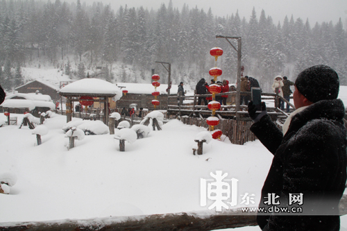 百家旅行社和旅游電商體驗龍江冰雪游 為冰雪之冠“點贊”