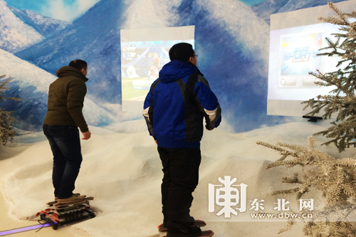 百家旅行社和旅游電商體驗龍江冰雪游 為冰雪之冠“點(diǎn)贊”