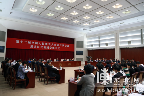 黑龍江省代表團舉行第五次全體會議 審議修改《立法法》的決定草案