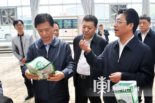 楊汭：加強基層黨組織建設 夯實經濟社會發展基礎