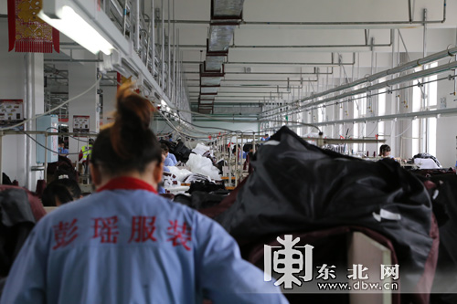 揭秘綏化產業成功密碼 保姆式服務助企業成長