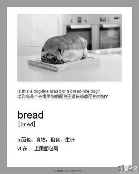 另類單詞速記法瘋傳 網友高呼“收進教材”