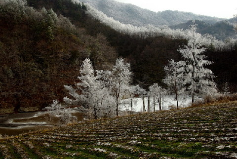 神農架出現持續霧凇景觀(圖)
