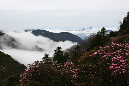 神農架大九湖景區重新開放