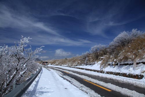 強冷空氣致神農架驟降“桃花雪”