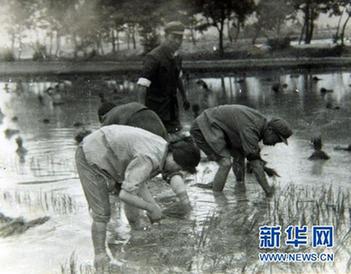 學習楊善洲精神：堅守共產黨人的精神高地