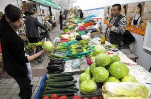 調查:市價比田間貴10倍 卷心菜是這樣貴起來的