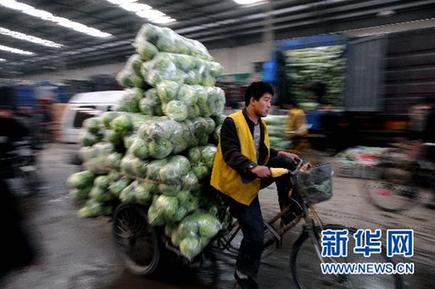 菜價猶如“過山車” 價格穩(wěn)定機制何去何從？
