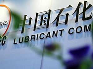 人民財評：癡迷于“財富500強” 我們很可能誤入歧途