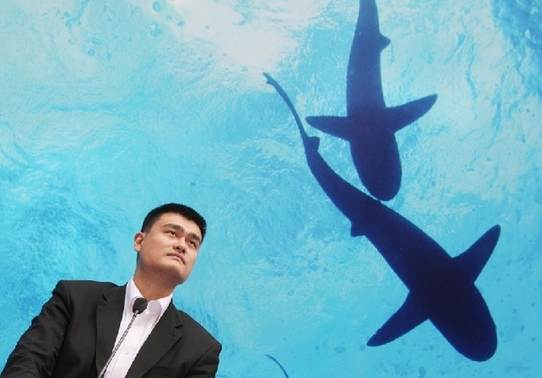 魚翅的“戰(zhàn)爭”：北京一天消費(fèi)一個(gè)億魚翅