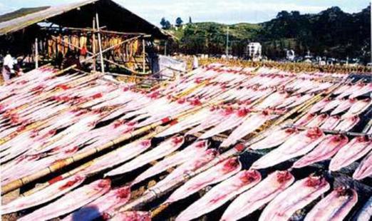魚翅的“戰爭”：北京一天消費一個億魚翅