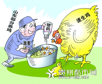 麥當勞承認采購六和雞 食藥監(jiān)局將追查問責瞞報
