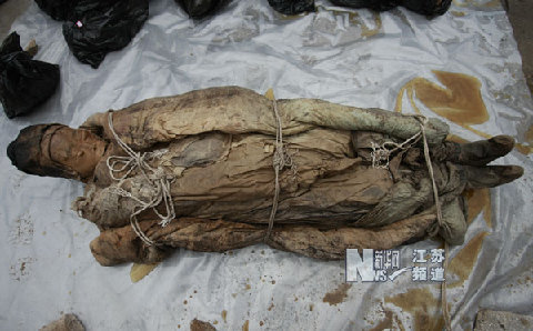 江蘇泰州發現明代不腐女尸 睫毛清晰可見