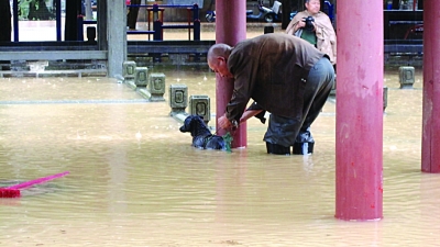 居民家中游來5斤重大魚 南京江北這場大雨太意外了