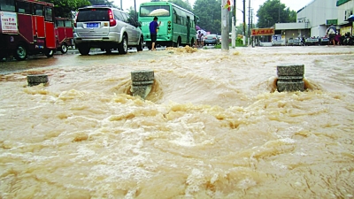 居民家中游來5斤重大魚 南京江北這場大雨太意外了
