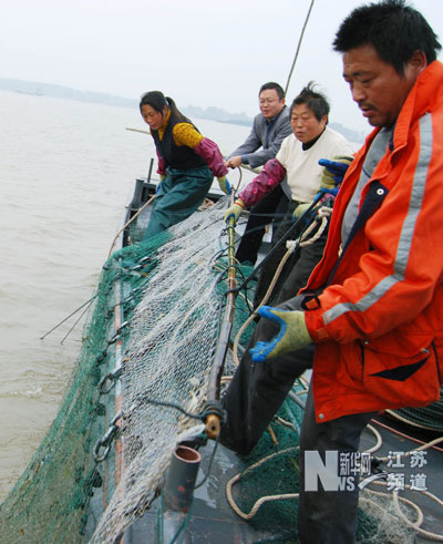 菊黃蟹肥時(shí) 漁民捕蟹忙
