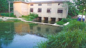 南京一“農業生態園”養豬場糞水直排秦淮河(圖)