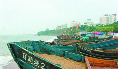 記者走基層:誰(shuí)動(dòng)了我們的海蜇?