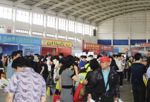 沈部分重點中學招生計劃略減