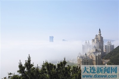 大連：冷霧無(wú)聲濕花木 細(xì)雨有情洗路街（圖）