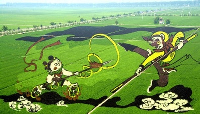 沈陽現(xiàn)“3D稻田畫” 惟妙惟肖吸引游客
