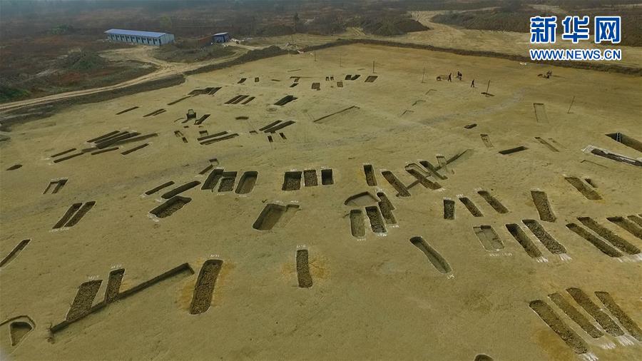 成都發現春秋戰國大型船棺墓群 如地下青銅器寶庫