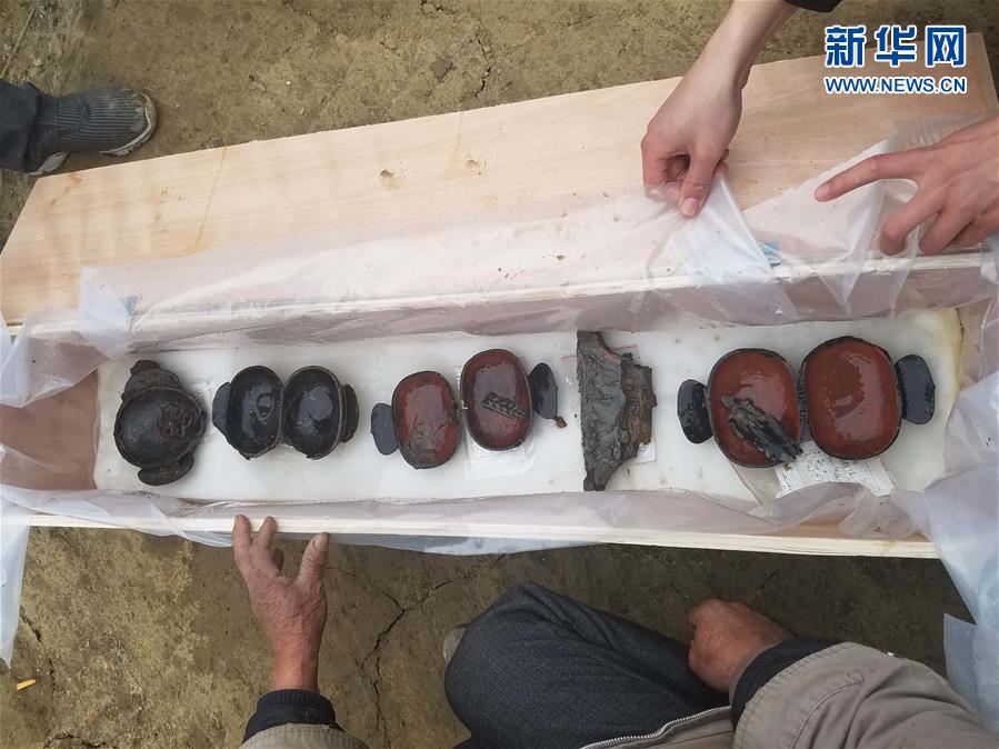 成都發現春秋戰國大型船棺墓群 如地下青銅器寶庫