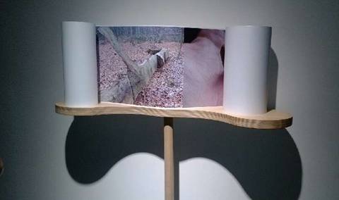比利時“浪游”藝術展“牽手”成都當代美術館