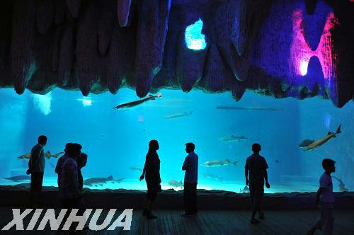泉城海洋極地世界開(kāi)館