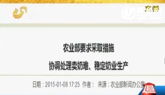 奶農曾遭奶企拒收奶威脅 山東將出臺牛奶救市政策