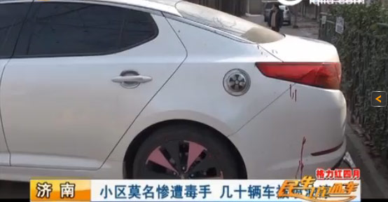 濟南一小區幾十輛車慘遭毒手 被“神秘人”噴上油漆