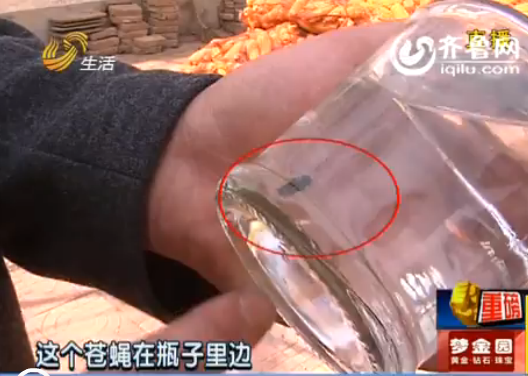 德州：未開瓶“獨(dú)占”牌酒里有蒼蠅 廠方認(rèn)定是假貨