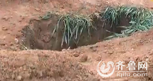 濟南章丘麥地突現五米深坑 警方懷疑系盜墓賊所挖