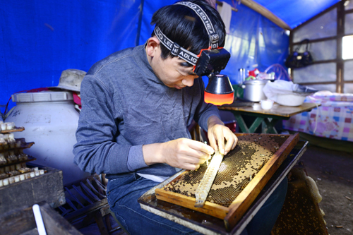 釀造甜蜜的養蜂人