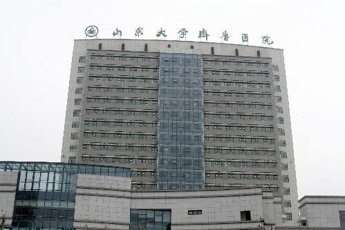 山東大學齊魯醫院青島院區開診并舉行大型義診活動