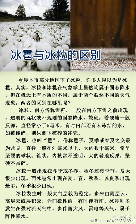 上海今日突下冰粒 網(wǎng)友:噼里啪啦好像下鉆石