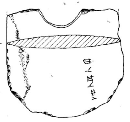 中國(guó)最早原始文字引熱議 被指是刻畫(huà) 非漢字前身