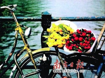 情人節怎么過最幸福?單身情侶過節攻略(組圖)