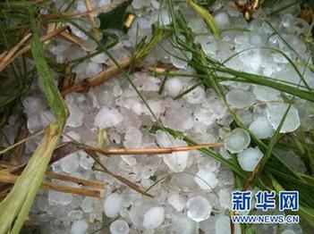 廣東發(fā)生雷雨大風(fēng)冰雹災(zāi)害 已造成12人死亡