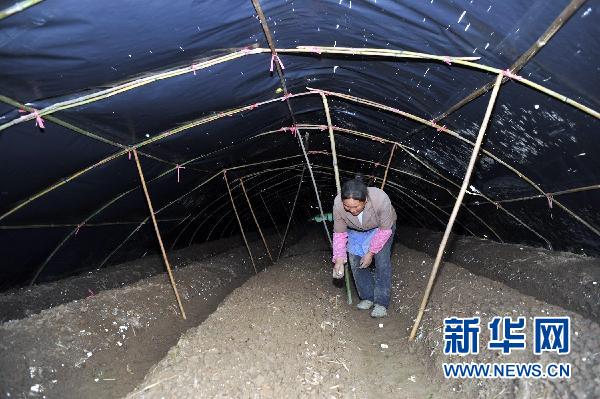 貴州10個縣區遭受冰雹災害 損失嚴重