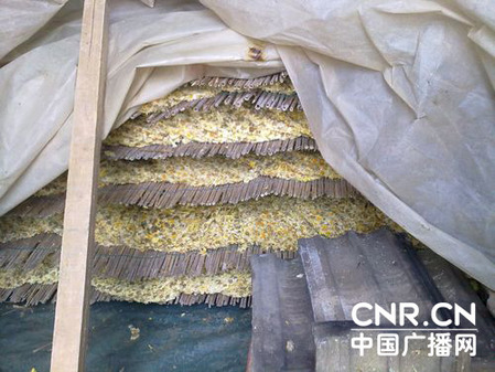 江蘇射陽每年200噸毒菊花入市 商販稱無人檢測