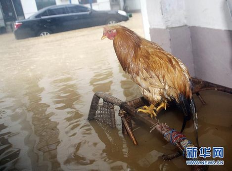南方多省遭第二輪暴雨襲擊 部分城市被洪水圍困
