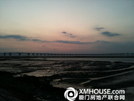 日環(huán)食壯觀景象