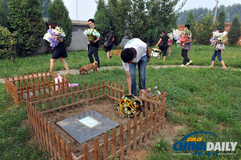 高清：寵物狗航空托運死亡 數(shù)十愛心人士送別