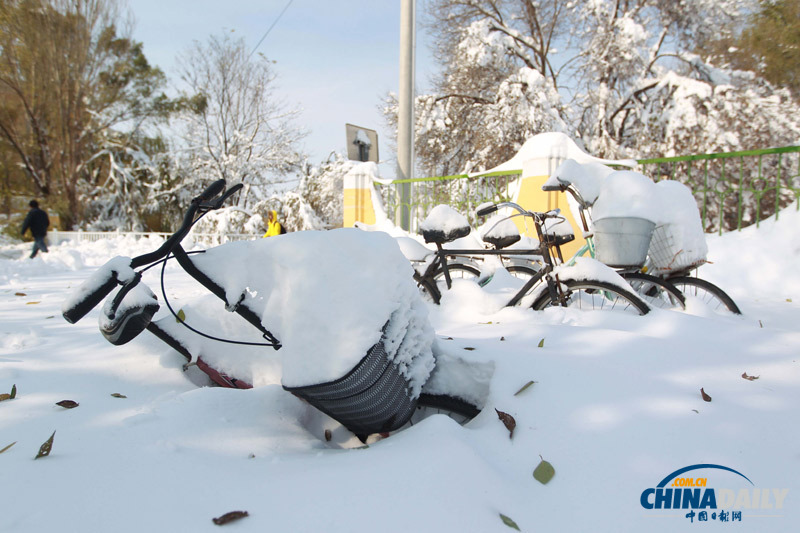 北京延慶遭遇52年來最大降雪 抗雪救災有序進行
