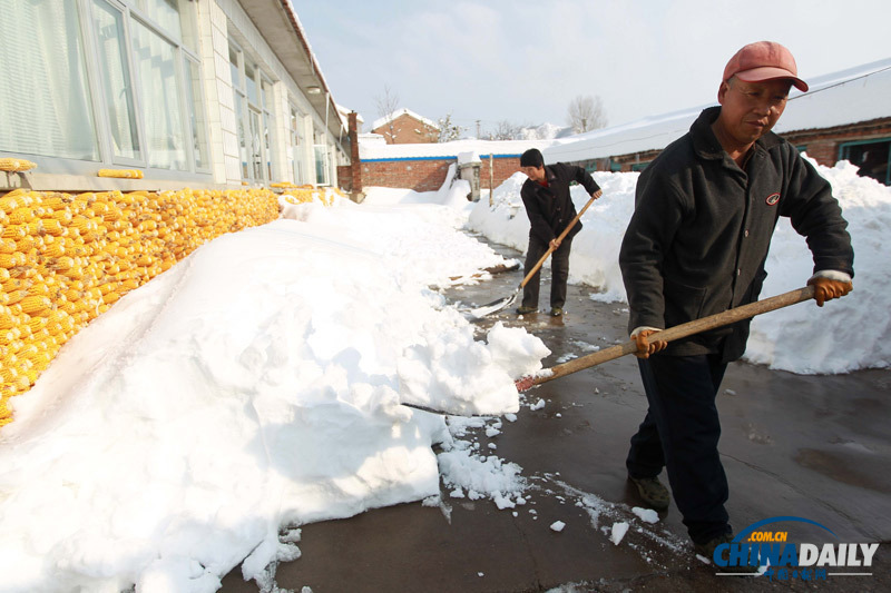 北京延慶遭遇52年來最大降雪 抗雪救災有序進行
