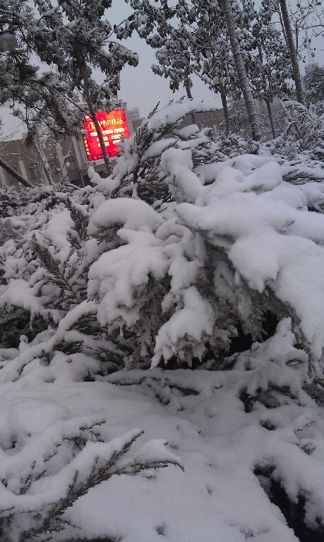 我國多地現降溫雨雪天氣